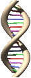 dna-gif